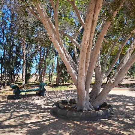 La Paloma
