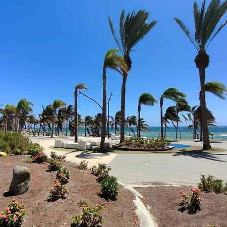 La Paloma *